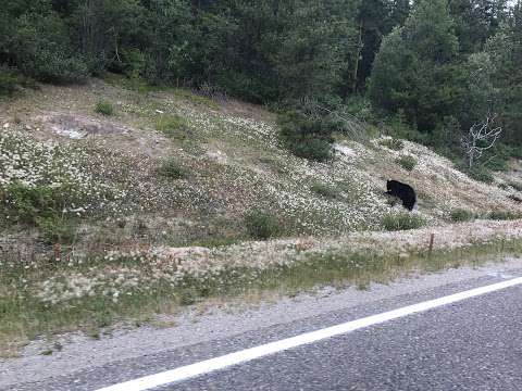 Honeymoon Lake Campground